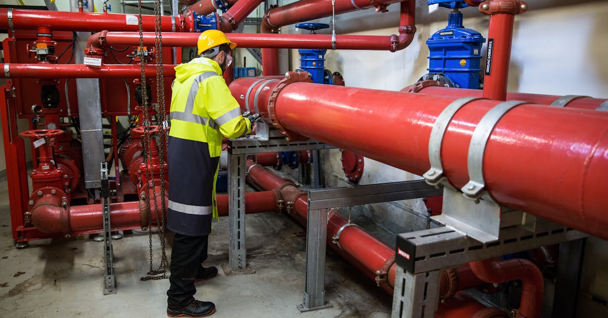 Bon Air, <a href=pittsburgh class='text-primary'>Pittsburgh</a>