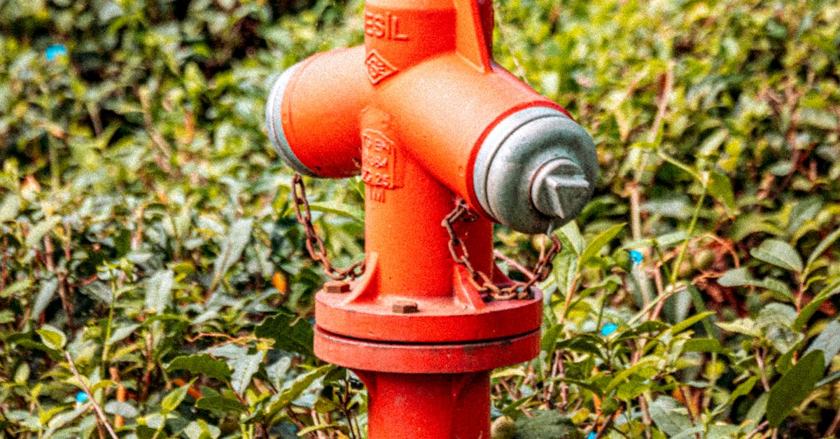 South Side Slopes, <a href=pittsburgh class='text-primary'>Pittsburgh</a>